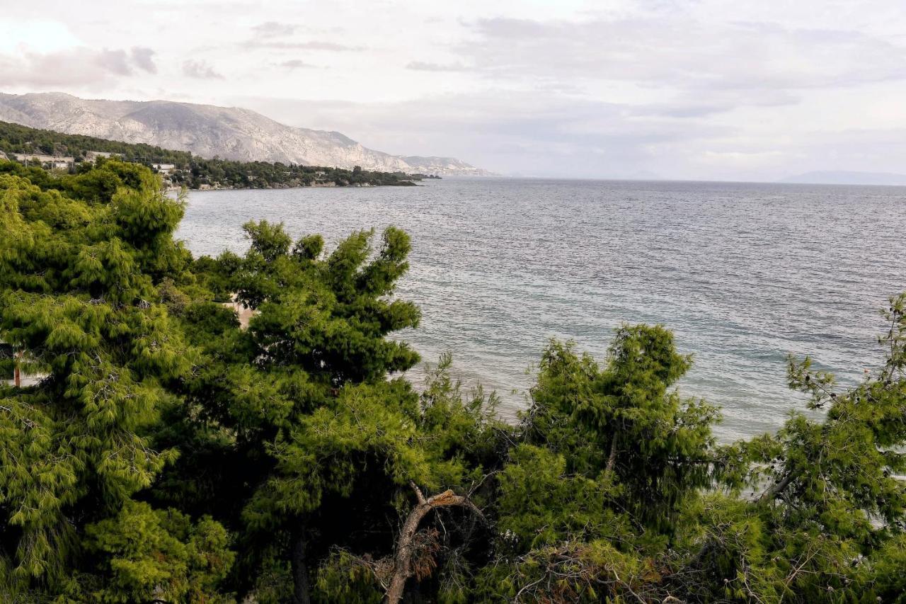 Siagas Beach Hotel Agioi Theodoroi Eksteriør bilde