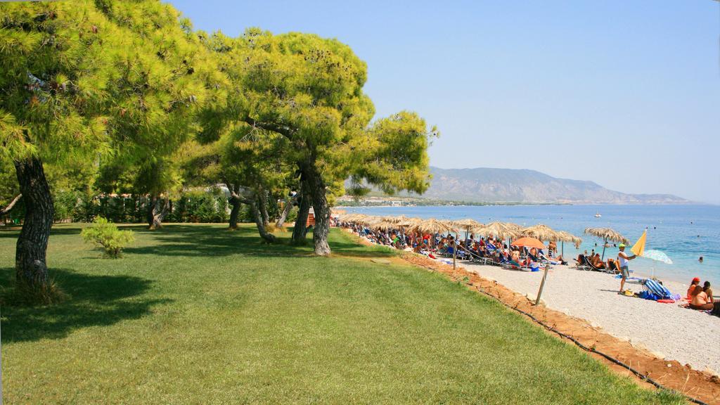 Siagas Beach Hotel Agioi Theodoroi Eksteriør bilde
