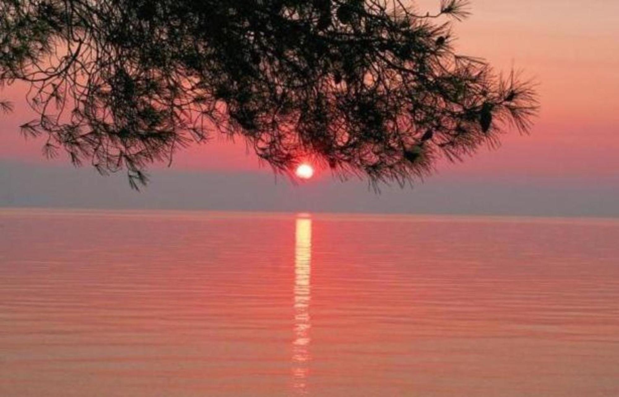 Siagas Beach Hotel Agioi Theodoroi Eksteriør bilde