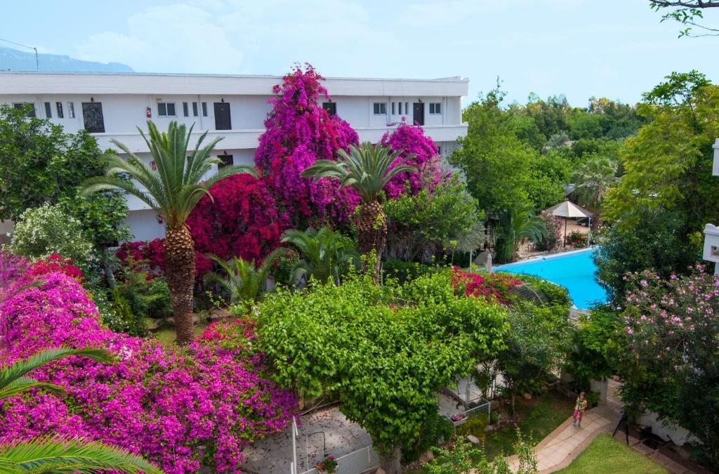 Siagas Beach Hotel Agioi Theodoroi Eksteriør bilde