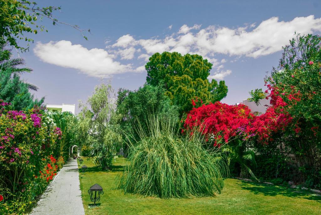 Siagas Beach Hotel Agioi Theodoroi Eksteriør bilde